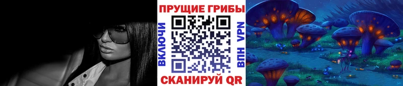 Псилоцибиновые грибы прущие грибы  Сургут 